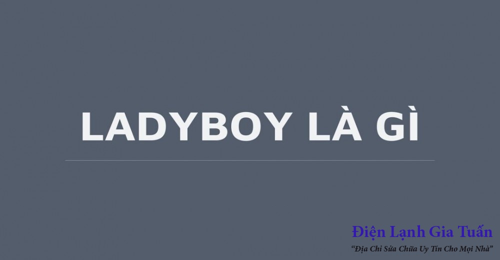 Thuật ngữ Ladyboy là gì