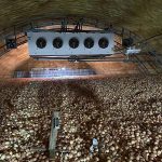 nhiet do bao quan rau qua