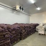 thiet ke kho lanh bao quan rau qua