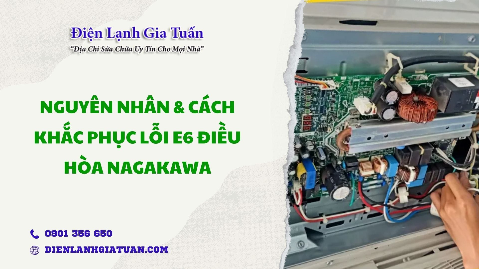 loi e6 dieu hoa nagakawa